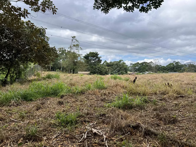 Lotes en Ciudad Quesada - Imagen 15