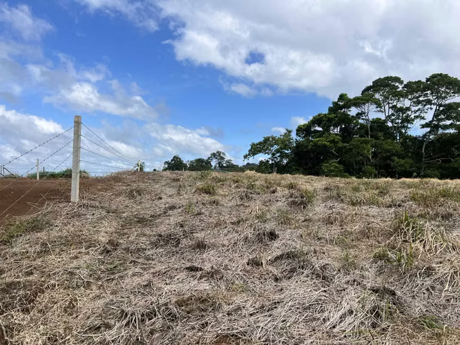Lotes en Ciudad Quesada - Imagen 4