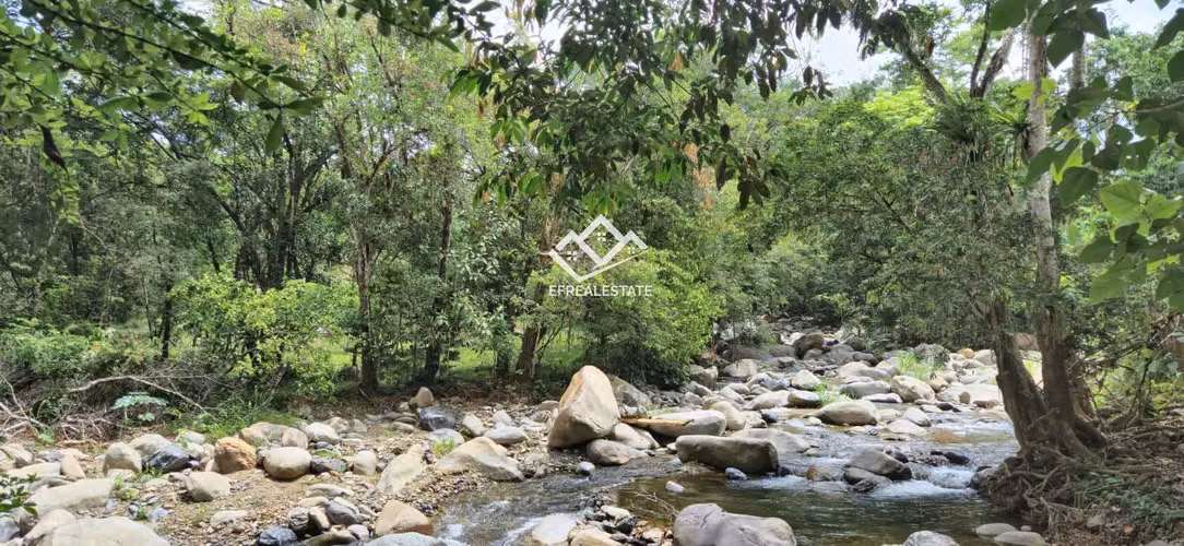 TABARCIA DE MORA ¡¡¡ VIVA EN CONTACTO CON LA NATURALEZA / 4 HAB MODERNA