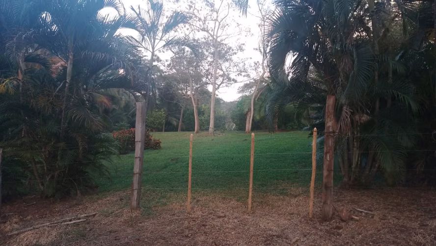EN VENTA - Quinta para desarrollar en La Ceiba de Orotina - Imagen 4