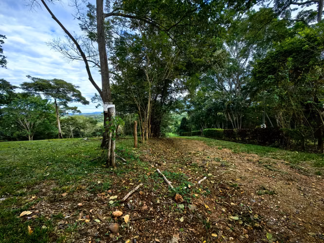 EN VENTA - Quinta para desarrollar en La Ceiba de Orotina - Imagen 2