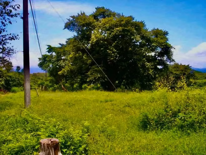 Terreno de 2,027 m² con Vista al Mar en Guacalillo - Imagen 10