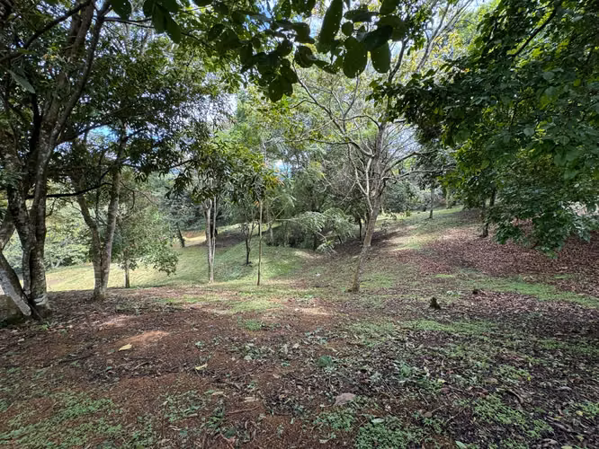 Venta lote para desarrollo Habitacional