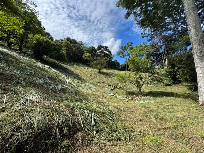 Venta lote Ciudad Colon para desarrollo Habitacional - Imagen 17