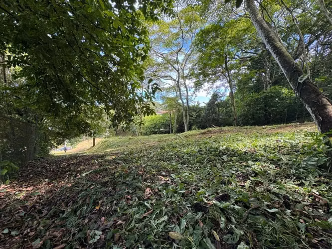 Venta lote para desarrollo Habitacional