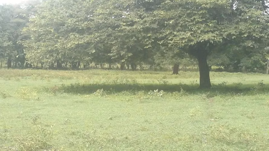 Se vende Finca en Santa Cruz Guanacaste