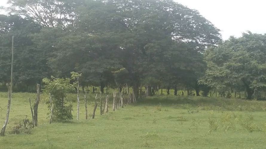 Se vende Finca en Santa Cruz Guanacaste