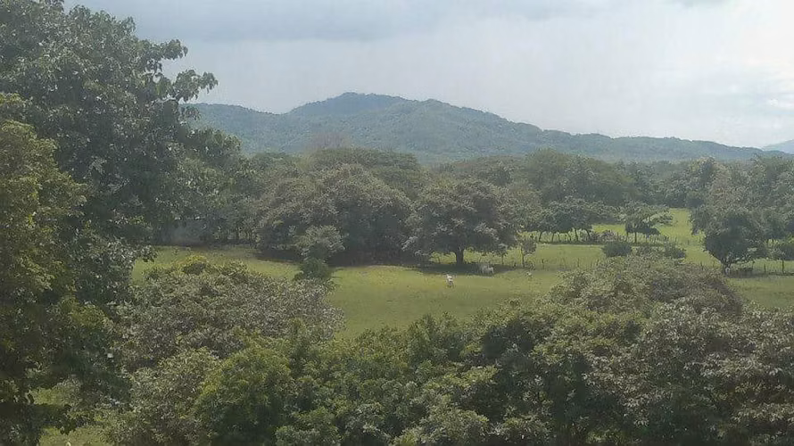 Se vende Finca en Santa Cruz Guanacaste