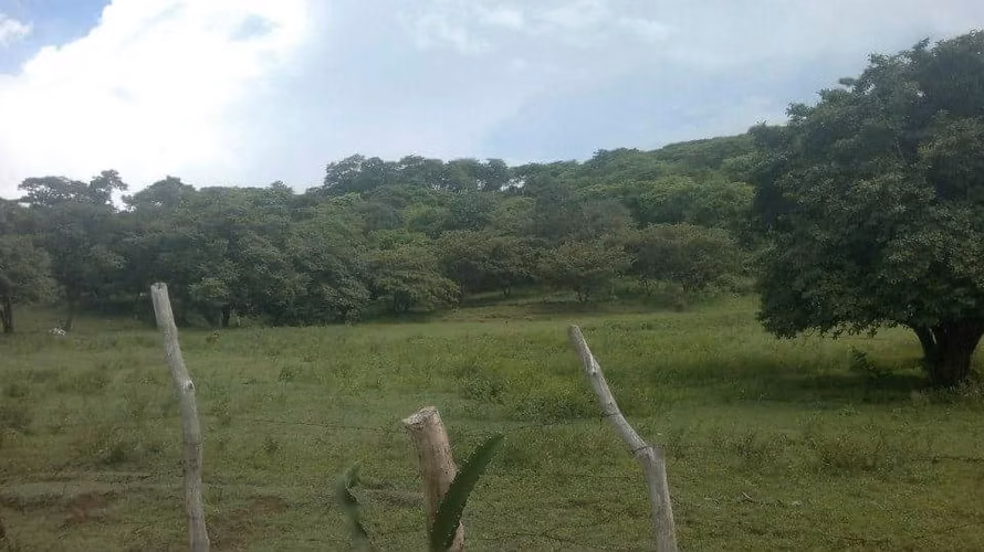 Se vende Finca en Santa Cruz Guanacaste