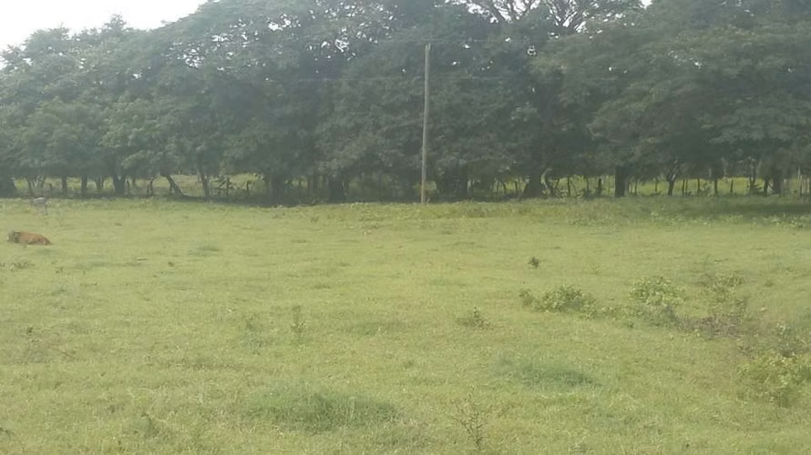Se vende Finca en Santa Cruz Guanacaste