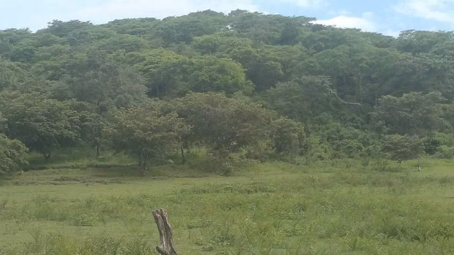Se vende Finca en Santa Cruz Guanacaste