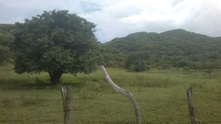 Se vende Finca en Santa Cruz Guanacaste