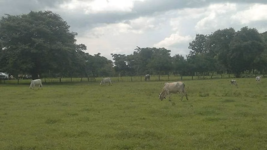 Se vende Finca en Santa Cruz Guanacaste