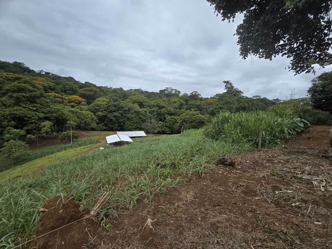 Finca en sarapiqui