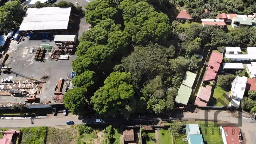 Listo Para Desarrollar/Zona De Alta Plusvalía / 500mts Del Automercado - Imagen 8