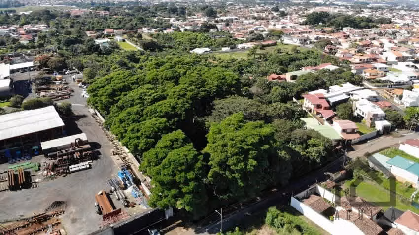 Listo Para Desarrollar/Zona De Alta Plusvalía / 500mts Del Automercado - Imagen 13