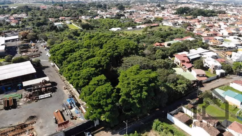 Listo Para Desarrollar/Zona De Alta Plusvalía / 500mts Del Automercado - Imagen 19