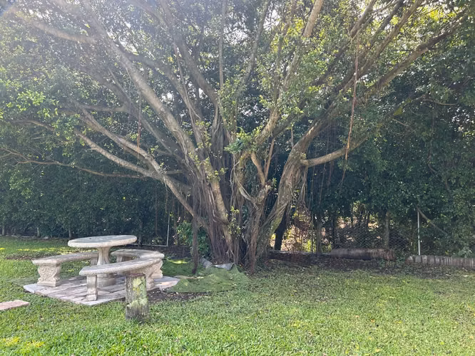 Con solo $30,000 de prima y mensualidad $1850, esta casa puede ser de usted - Imagen 13