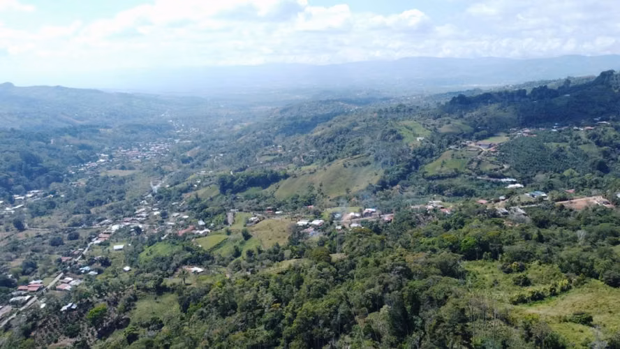 Finca Productiva en Pérez Zeledón Rivas  | Café, Madera y Naciente Propia | 3.5 Hectáreas - Imagen 6