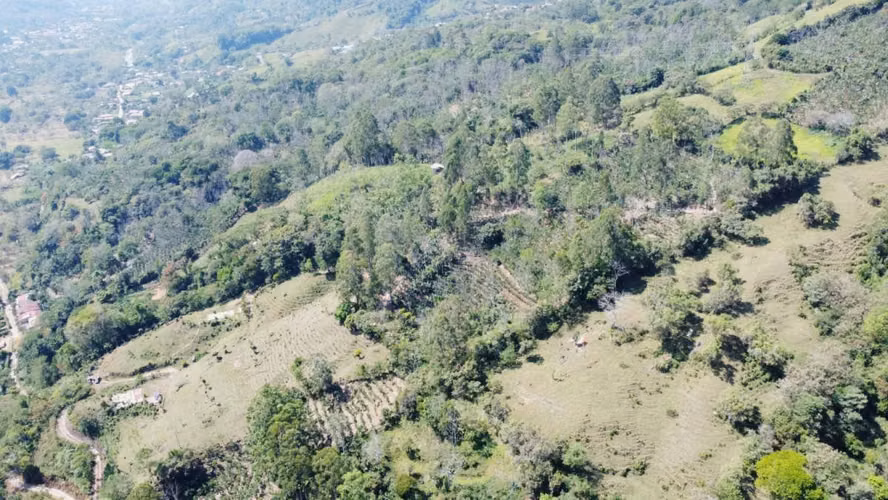 Finca Productiva en Pérez Zeledón Rivas  | Café, Madera y Naciente Propia | 3.5 Hectáreas - Imagen 8