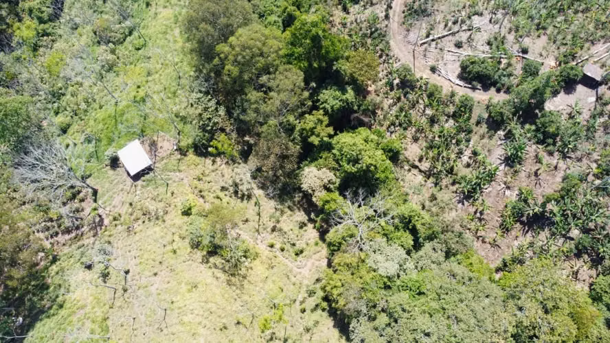 Finca Productiva en Pérez Zeledón Rivas  | Café, Madera y Naciente Propia | 3.5 Hectáreas - Imagen 18