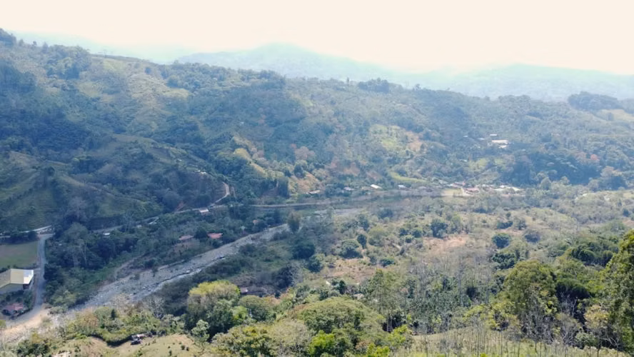 Finca Productiva en Pérez Zeledón Rivas  | Café, Madera y Naciente Propia | 3.5 Hectáreas - Imagen 7
