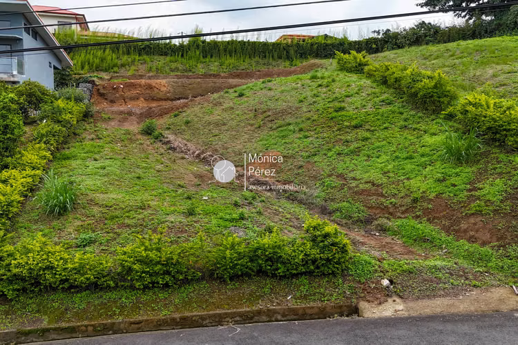 LOTE EN VENTA CONDOMINIO EL ROBLE - GRECIA - Imagen 2