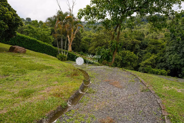 LOTE EN VENTA CONDOMINIO EL ROBLE - GRECIA - Imagen 8