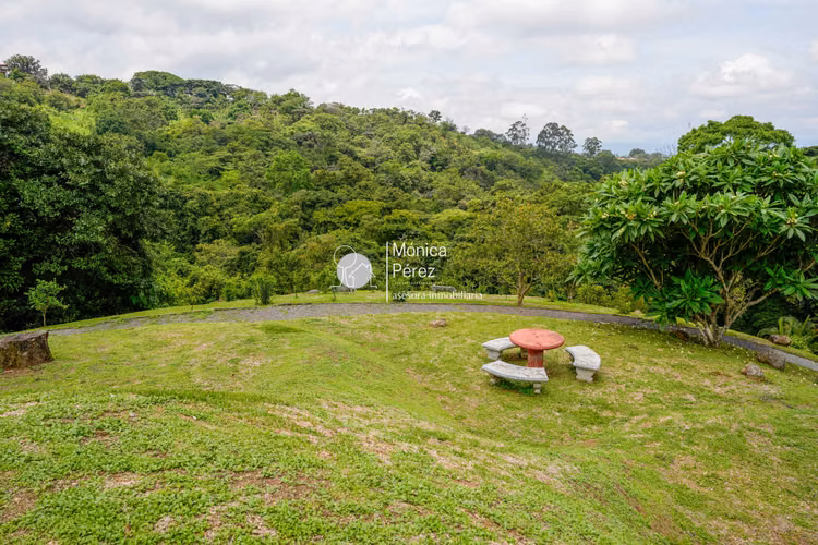 LOTE EN VENTA CONDOMINIO EL ROBLE - GRECIA - Imagen 7