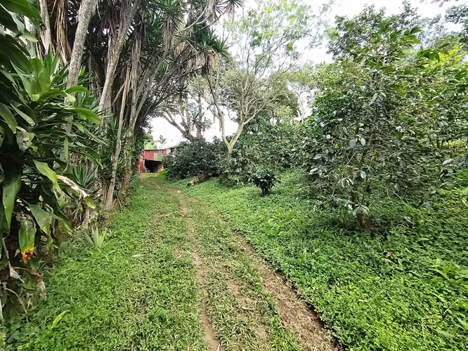 TERRENO  CON VISTA A LA MONTAÑA,  SARCHI, ALAJUELA