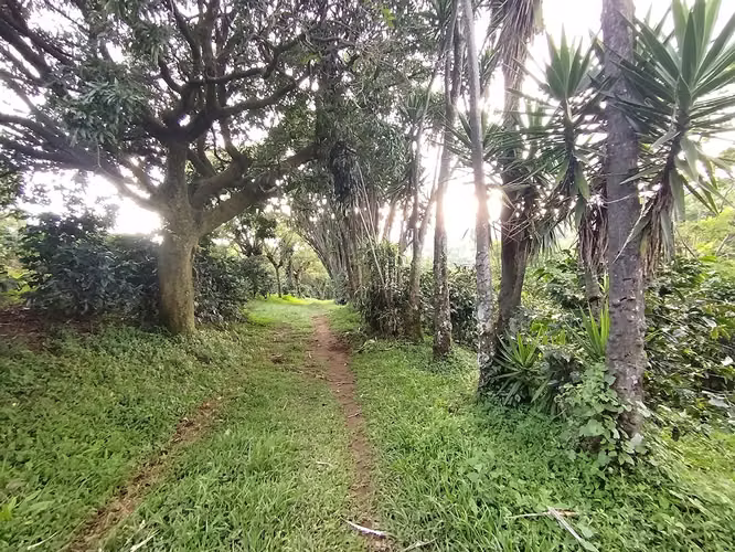 TERRENO  CON VISTA A LA MONTAÑA,  SARCHI, ALAJUELA