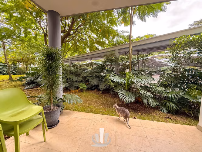 Apartamento en venta San Rafael Escazú