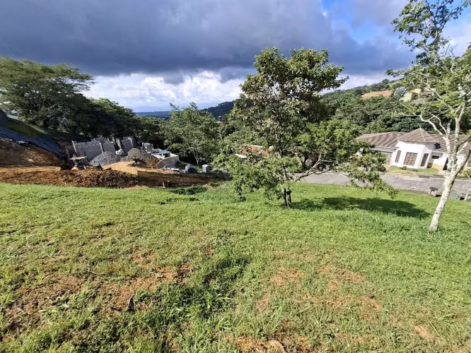 TERRENO EN CONDOMINIO EN VENTA CIUDAD COLON. 1375 M2. - Imagen 6
