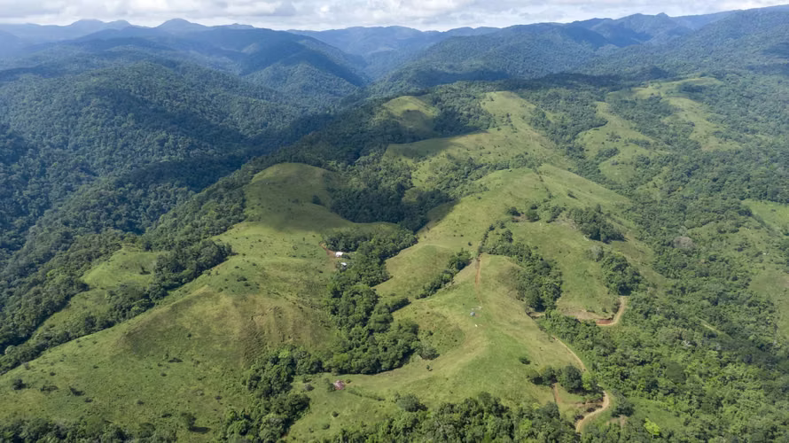 FINCA DOBLE PROPOSITO, BAJO RODRIGUEZ, SAN RAMÓN, ALAJUELA