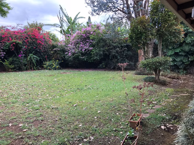 id 37236 Venta de Casa en Curridabat