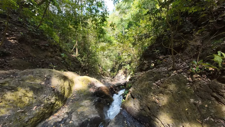 Tu pedazo de paraíso en el Pacífico Central de Costa Rica - Imagen 6