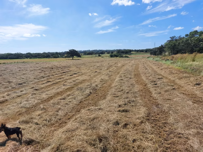 Finca en Bagaces, Guanacaste, 90% plana excelente para agricultura y ganadería