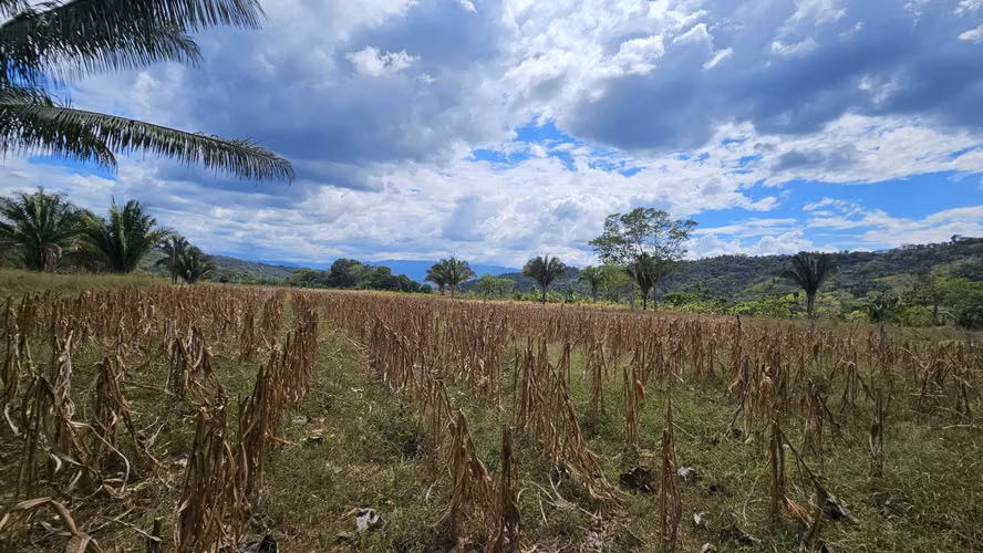 Finca en Buenos Aires Puntarenas a 25 minutos de Potrero Grande