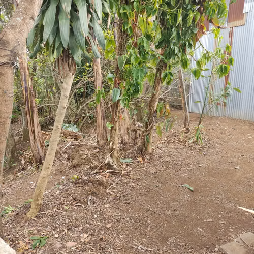 Lote en venta en San Pablo de Heredia - Imagen 5