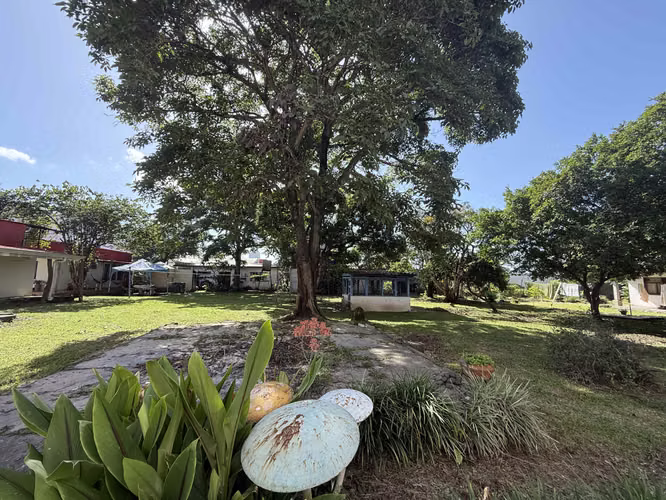 SE VENDE TERRENO SOBRE CALLE PRINCIPAL ZONA COMERCIAL DE SAN RAFAEL ABAJO DE DESAMPARADOS - Imagen 9