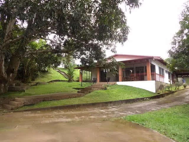 Venta de propiedad comercial en Atenas - Imagen 2