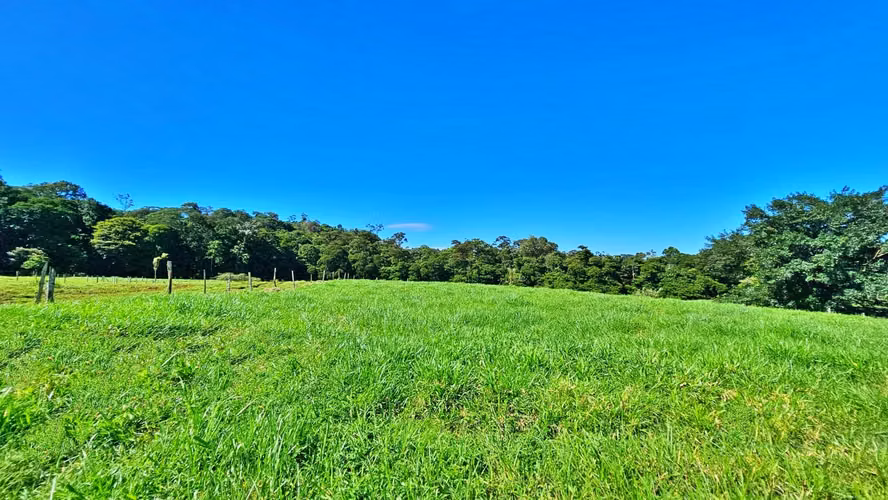 Venta de Finca Ganadera (Lechera) en Guácimo de Limón-1