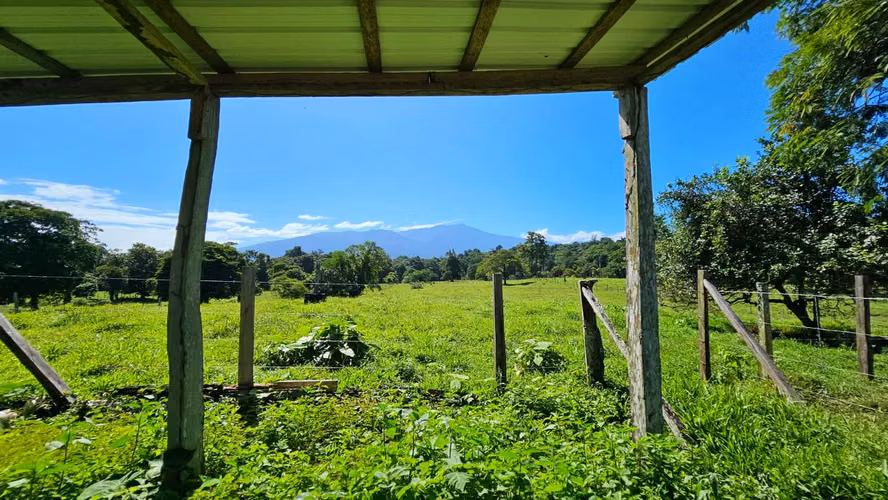 Venta de Finca Ganadera (Lechera) en Guácimo de Limón-1