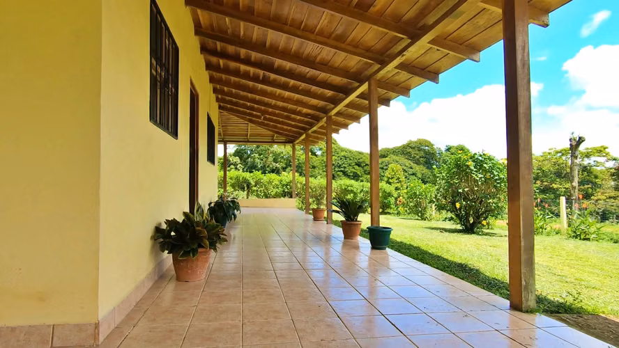 Venta de Finca Ganadera (Lechera) en Guácimo de Limón-1