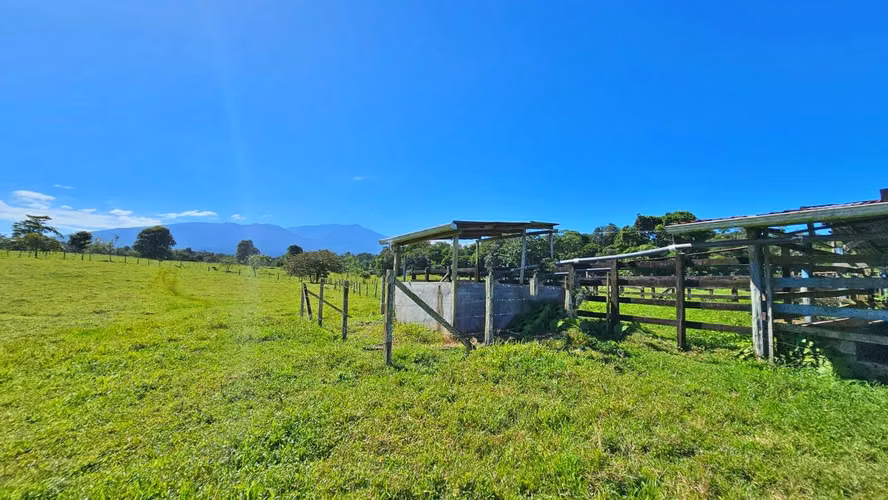 Venta de Finca Ganadera (Lechera) en Guácimo de Limón-1