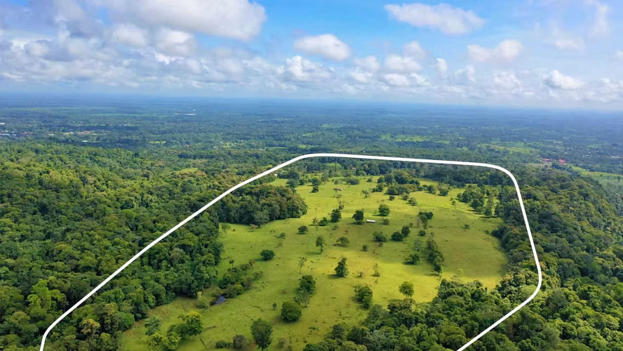 Venta de Finca Ganadera (Lechera) en Guácimo de Limón-1