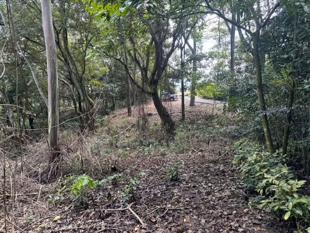 Uno de los últimos lotes ubicados en una comunidad privada - Imagen 2