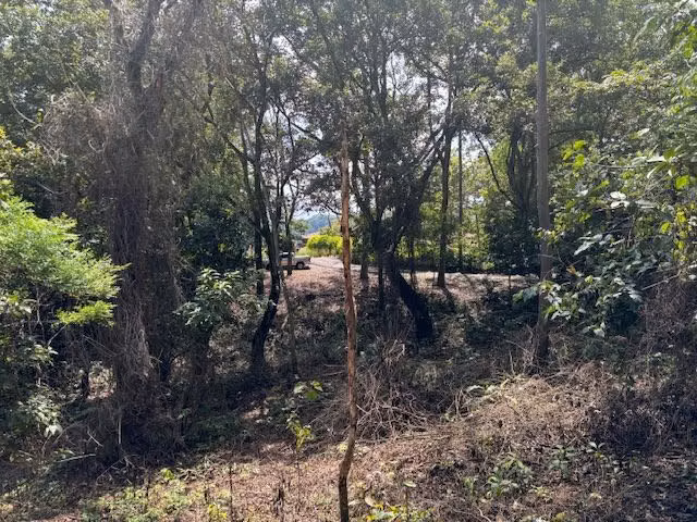 Uno de los últimos lotes ubicados en una comunidad privada - Imagen 14