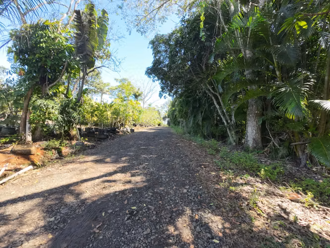 Ahora en $387,000 | Invierta donde el Valle Central sigue creciendo  BAJA DE PRECIO - Imagen 5