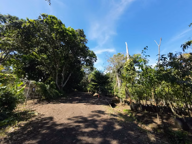Ahora en $387,000 | Invierta donde el Valle Central sigue creciendo  BAJA DE PRECIO - Imagen 7